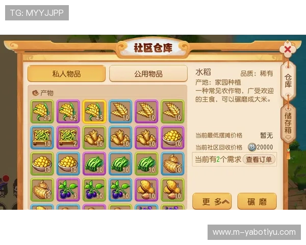 亚博体肓更名对游戏内容和运营策略的影响,玩家应关注的最新变化与应对措施