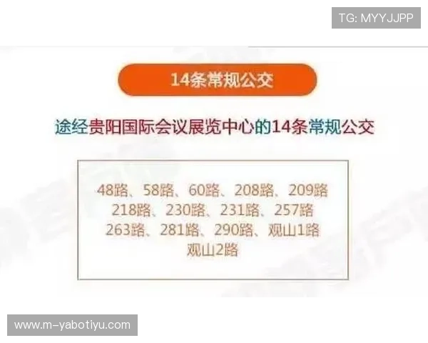 赢博体育平台全面解析助你轻松掌握最新体育赛事投注技巧与策略